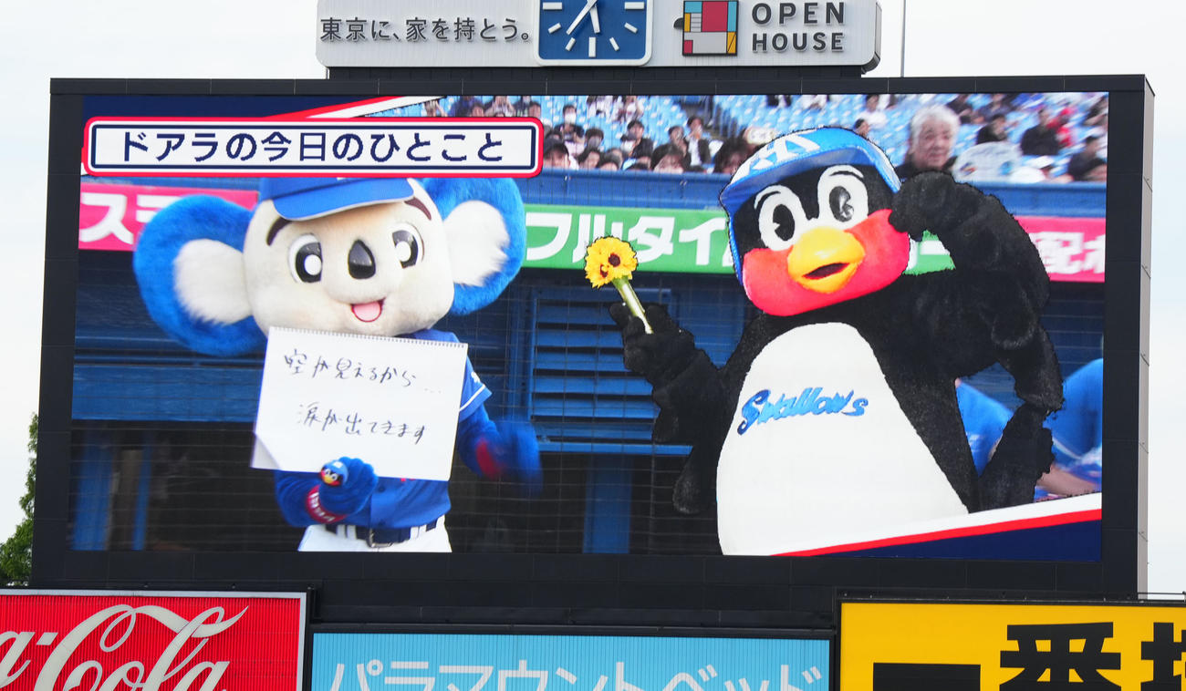 ヤクルト対中日　試合前、電光掲示板に映し出されるつば九郎の横でフリップ芸をするドアラ（撮影・菅敏）