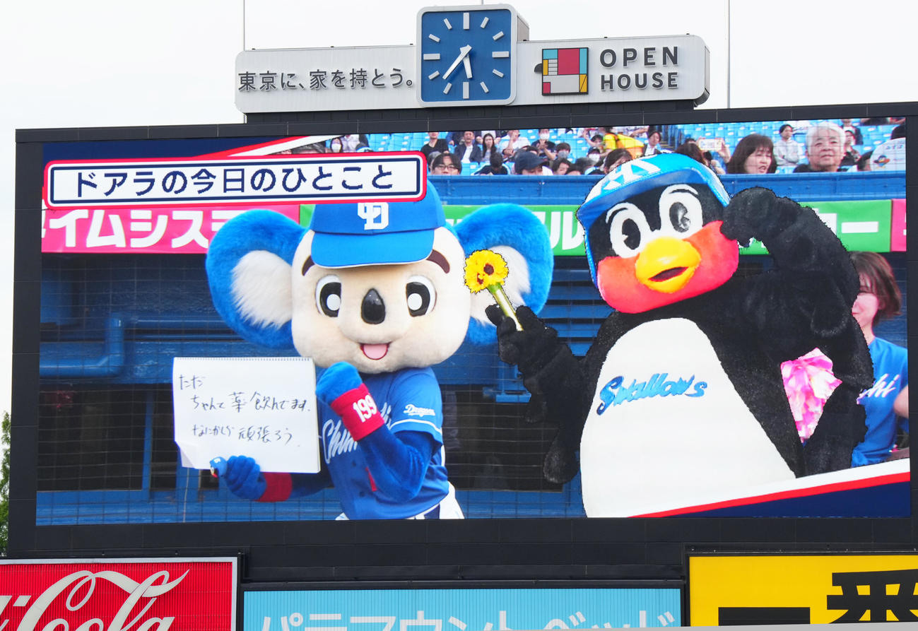 ヤクルト対中日　試合前、電光掲示板に映し出されるつば九郎の横でフリップ芸をするドアラ（撮影・菅敏）
