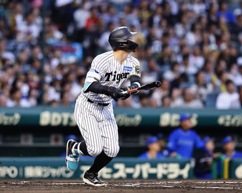 阪神】佐藤輝明が打率3割に もう少しで本塁打の左翼フェンス直撃