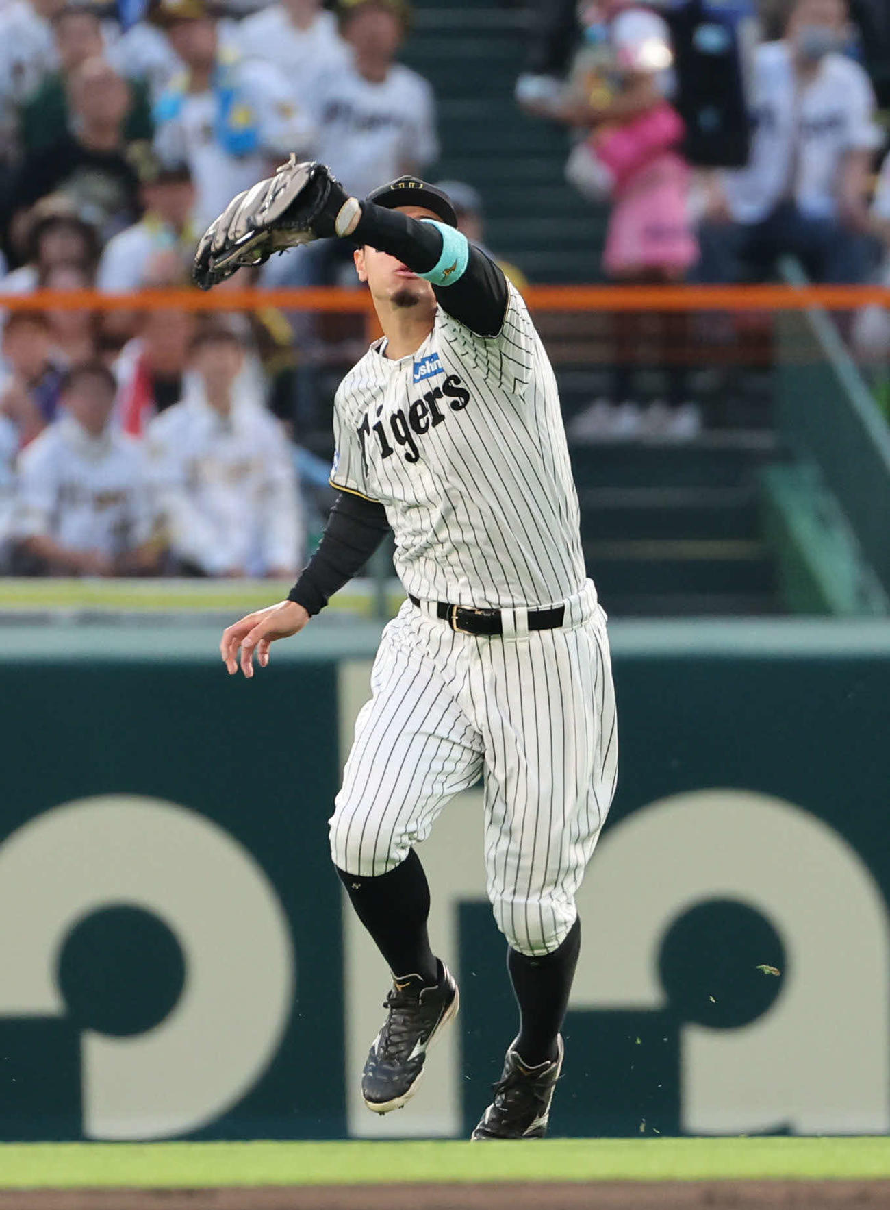 阪神対DeNA 3回表DeNA1死二、三塁、オースティンの放った飛球を捕る右翼手佐藤輝（撮影・西尾就之）