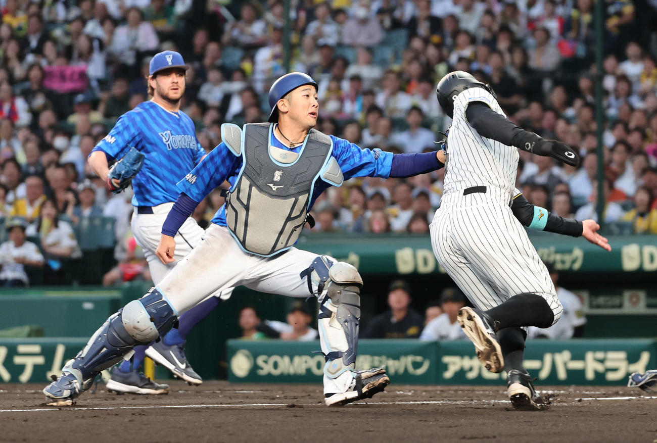 阪神対DeNA 2回裏阪神2死一、三塁、一走木浪が二盗を仕掛け、送球の間に三走佐藤輝（右）が本塁を狙うも、三本間に挟まれアウト。野手山本（撮影・西尾就之）
