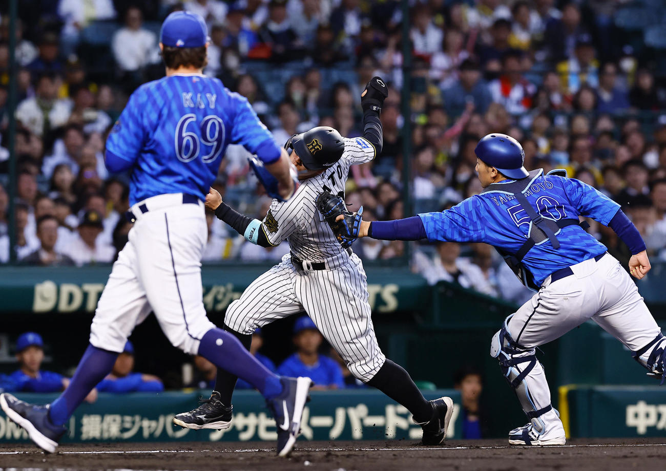 阪神対DeNA 2回裏阪神2死一、三塁、打者梅野のとき三走佐藤輝が本盗を狙うも三本間に挟まれタッチアウトになる。右は捕手山本、左はケイ（撮影・藤尾明華）