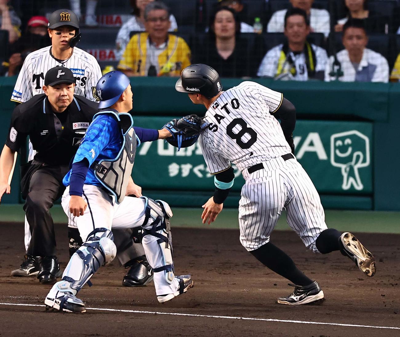 阪神対DeNA 2回裏阪神2死一、三塁、佐藤輝は重盗で生還を狙うも憤死する（撮影・上田博志）
