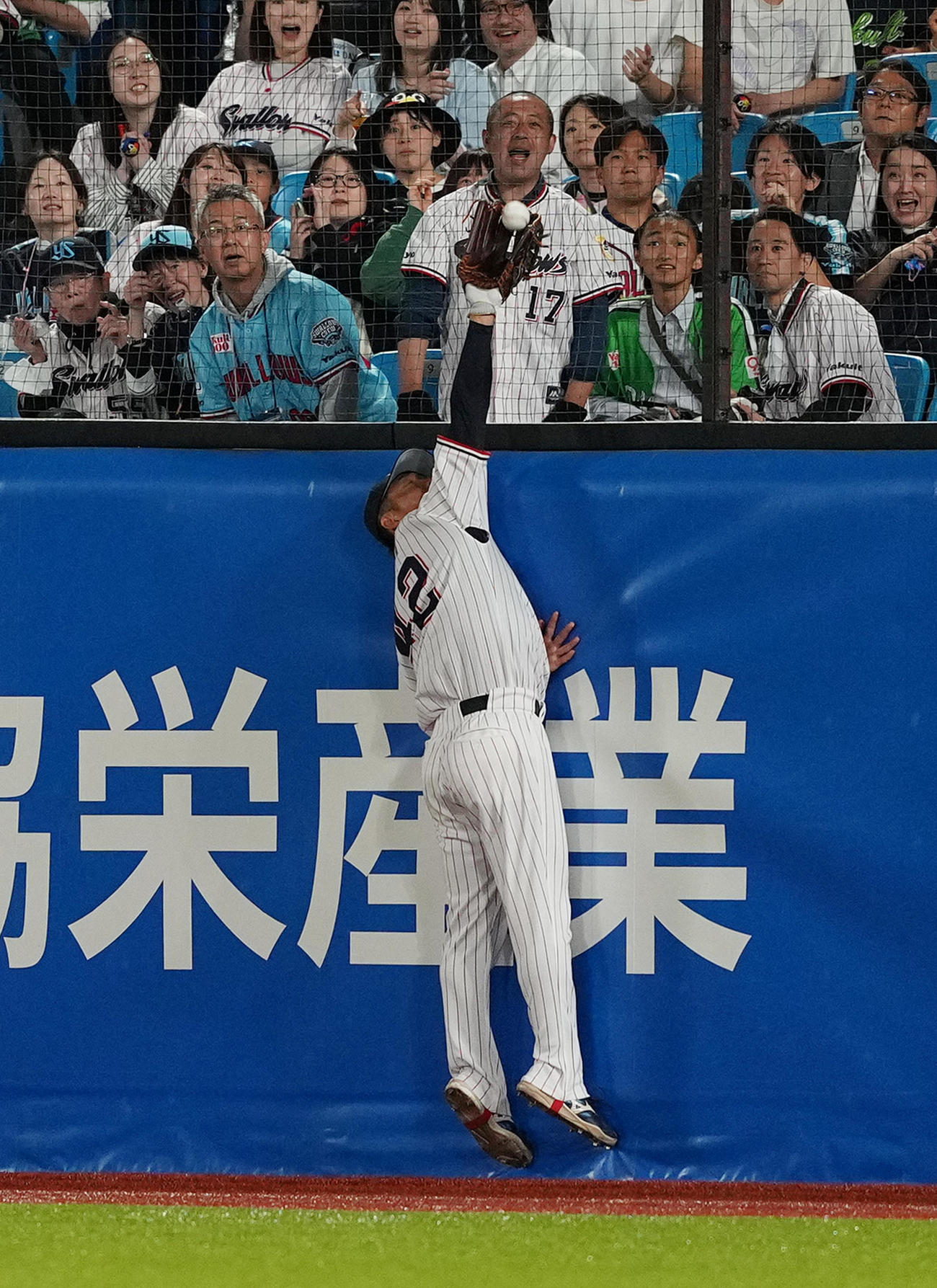 ヤクルト対中日　5回表中日2死、村松のフェンス際の右飛を好捕する沢井（撮影・菅敏）