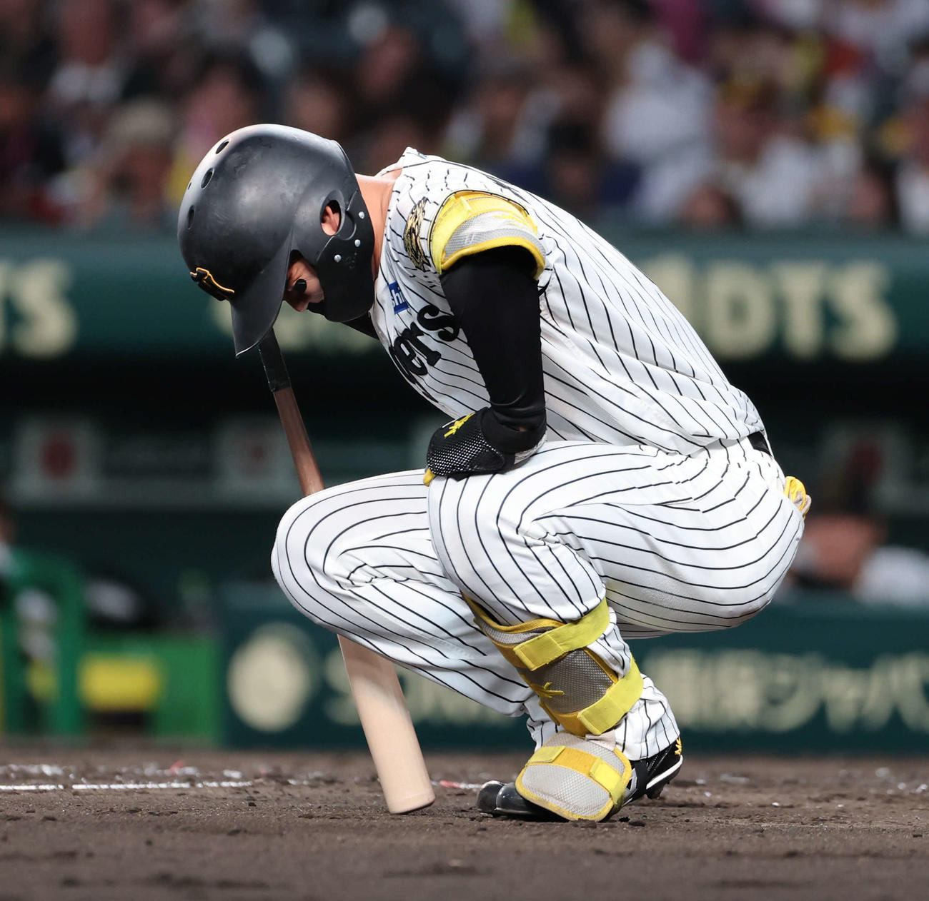 阪神対DeNA 3回裏阪神2死一、二塁、森下は自打球を右足に当ててしゃがみ込む（撮影・西尾就之）
