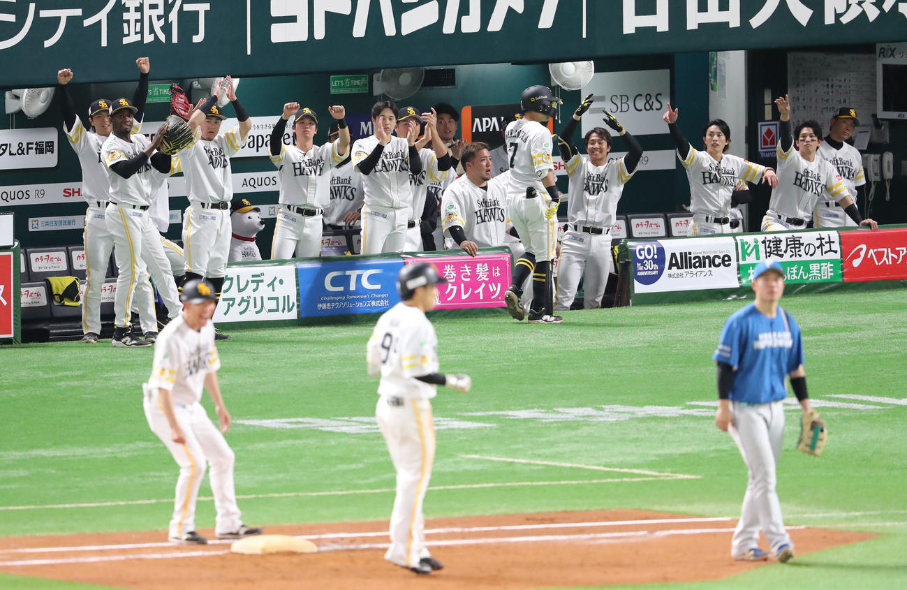 ソフトバンク対日本ハム　7回裏ソフトバンク2死三塁、野村の左前同点適時打で喜ぶナイン（撮影・梅根麻紀）