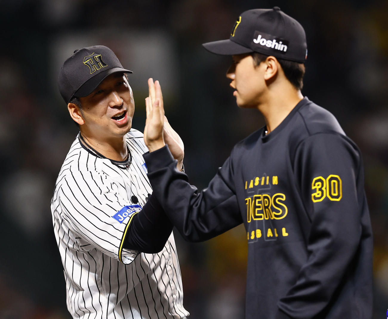 阪神対DeNA DeNAに勝利し、門別とタッチを交わす阪神藤川監督（左）（撮影・藤尾明華）