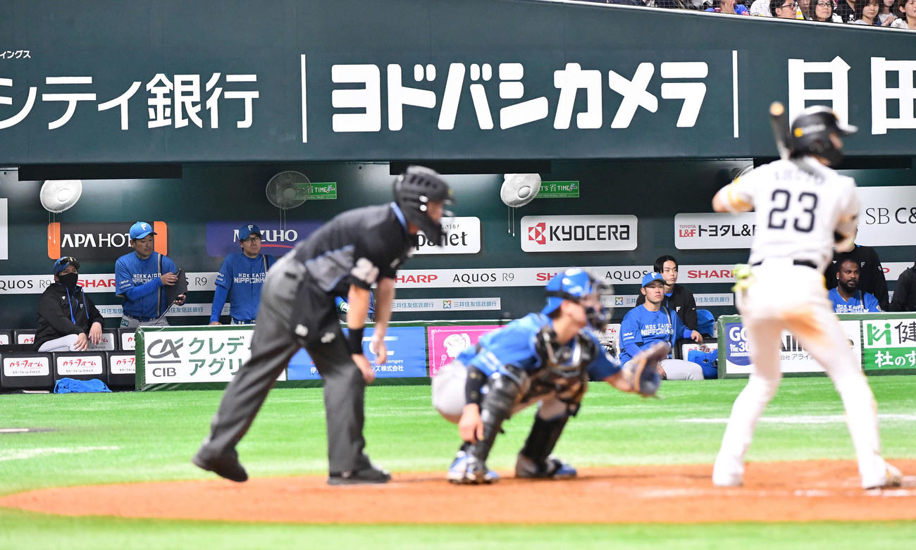 ソフトバンク対日本ハム　9回裏ソフトバンク2死二塁、周東が打席に立ち、グラウンドを見つめる新庄監督（左端）と日本ハムナイン（撮影・岩下翔太）