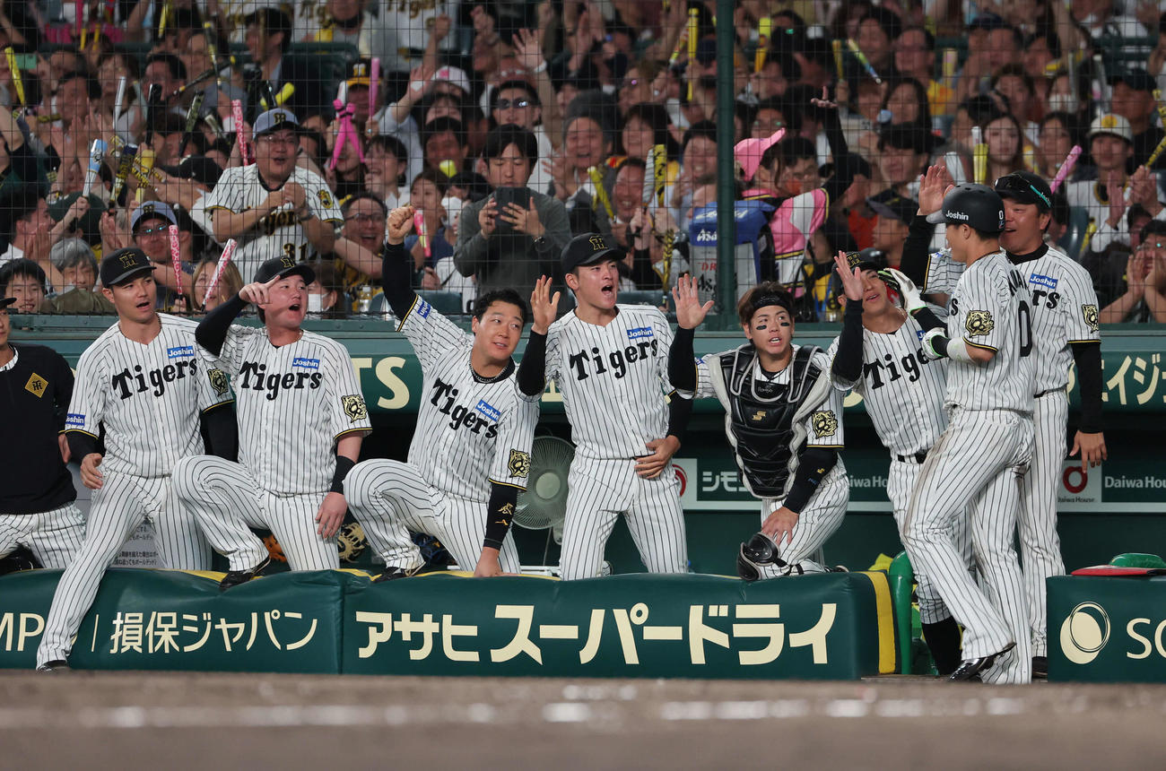 阪神対DeNA 5回裏阪神2死二塁、近本の適時打で生還した木浪聖也を迎える阪神ナイン（撮影・西尾就之）