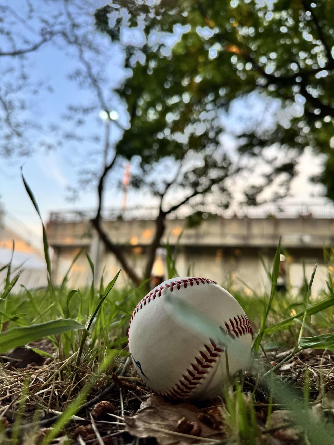 巨人対広島　場外に飛んだ巨人キャベッジのプロ野球通算11万号のホームランボール（撮影・為田聡史）　
