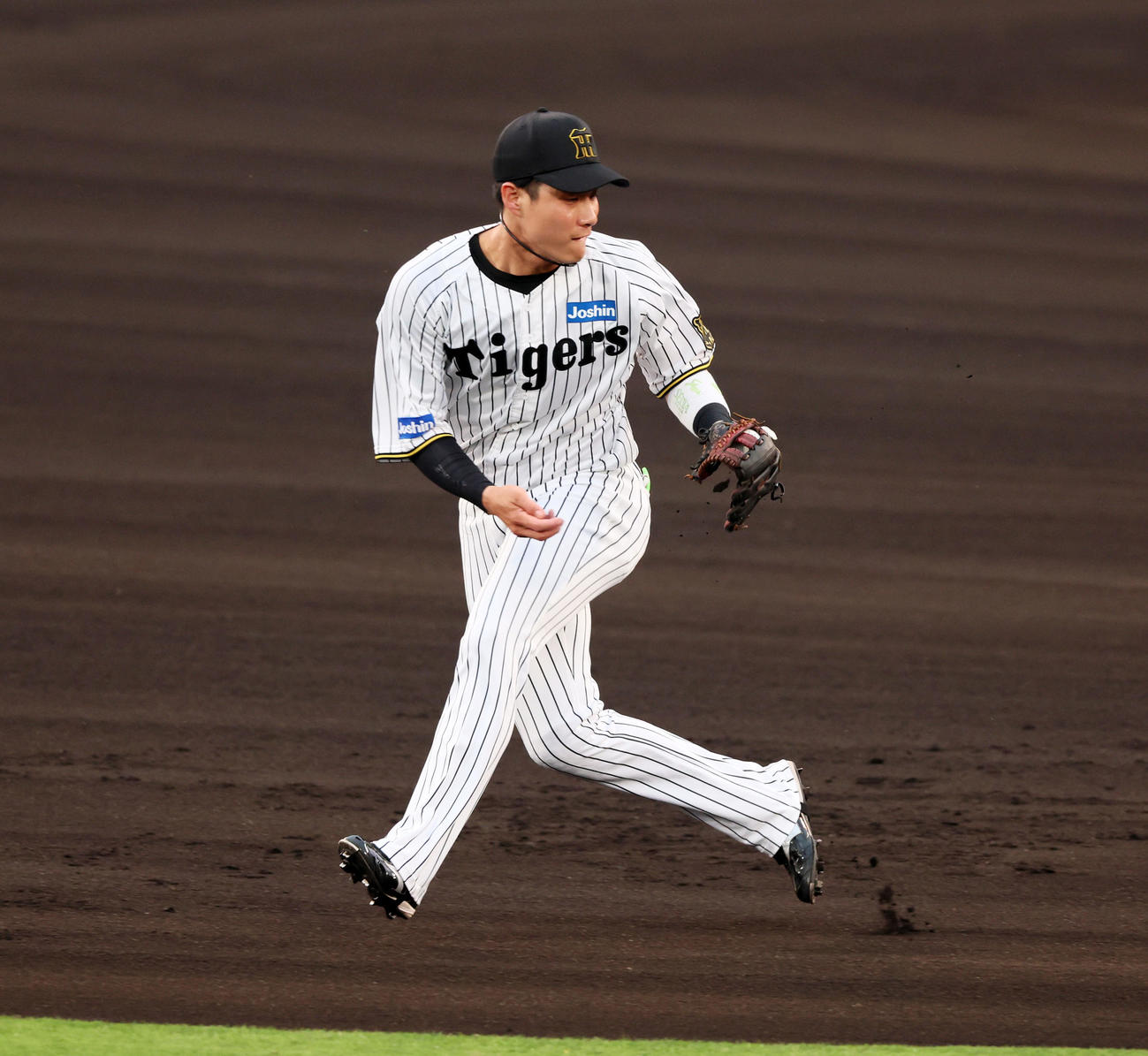 阪神対DeNA 1回表DeNA1死、木浪は佐野の打球を好捕（撮影・加藤哉）