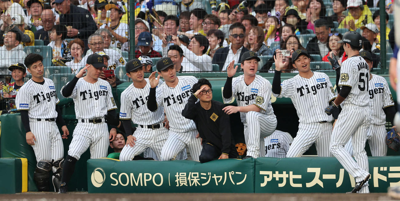 森下の適時打で生還した中野を迎える阪神ベンチのナイン（撮影・西尾就之）