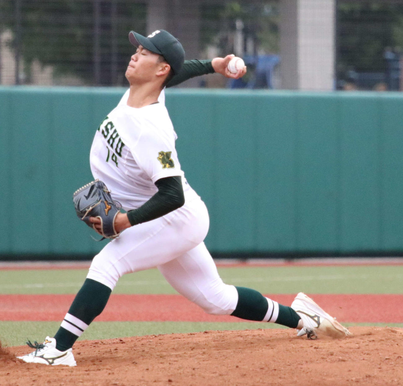 専大対東農大　先発し力投する専大・平野（撮影・山本佳央）