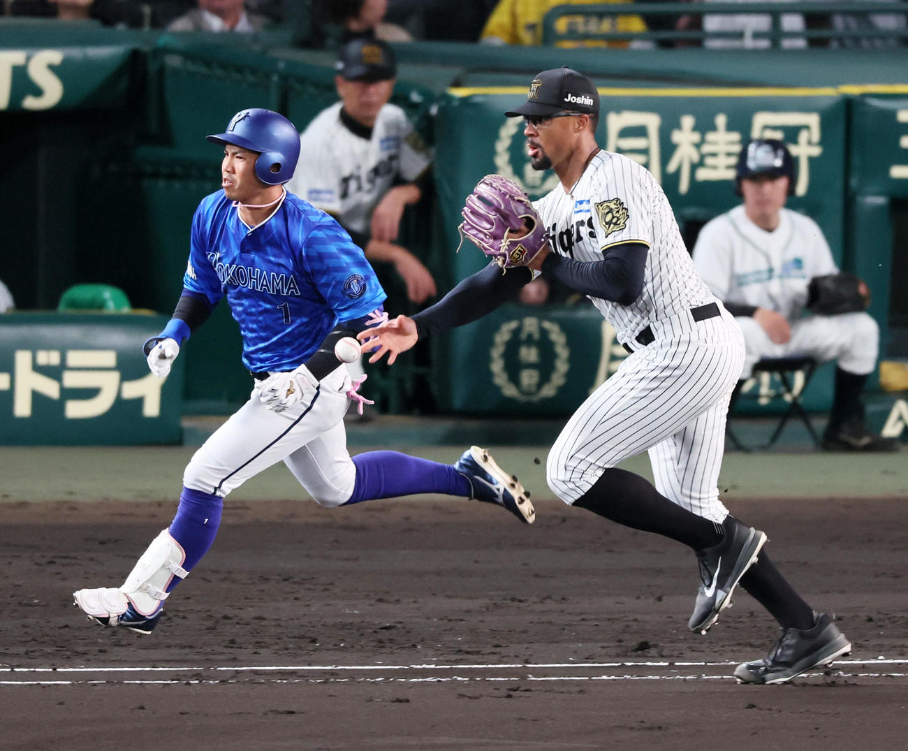 阪神対DeNA 6回表DeNA2死、デュプランティエは桑原の打球を捕球し一塁へトスする（撮影・加藤哉）