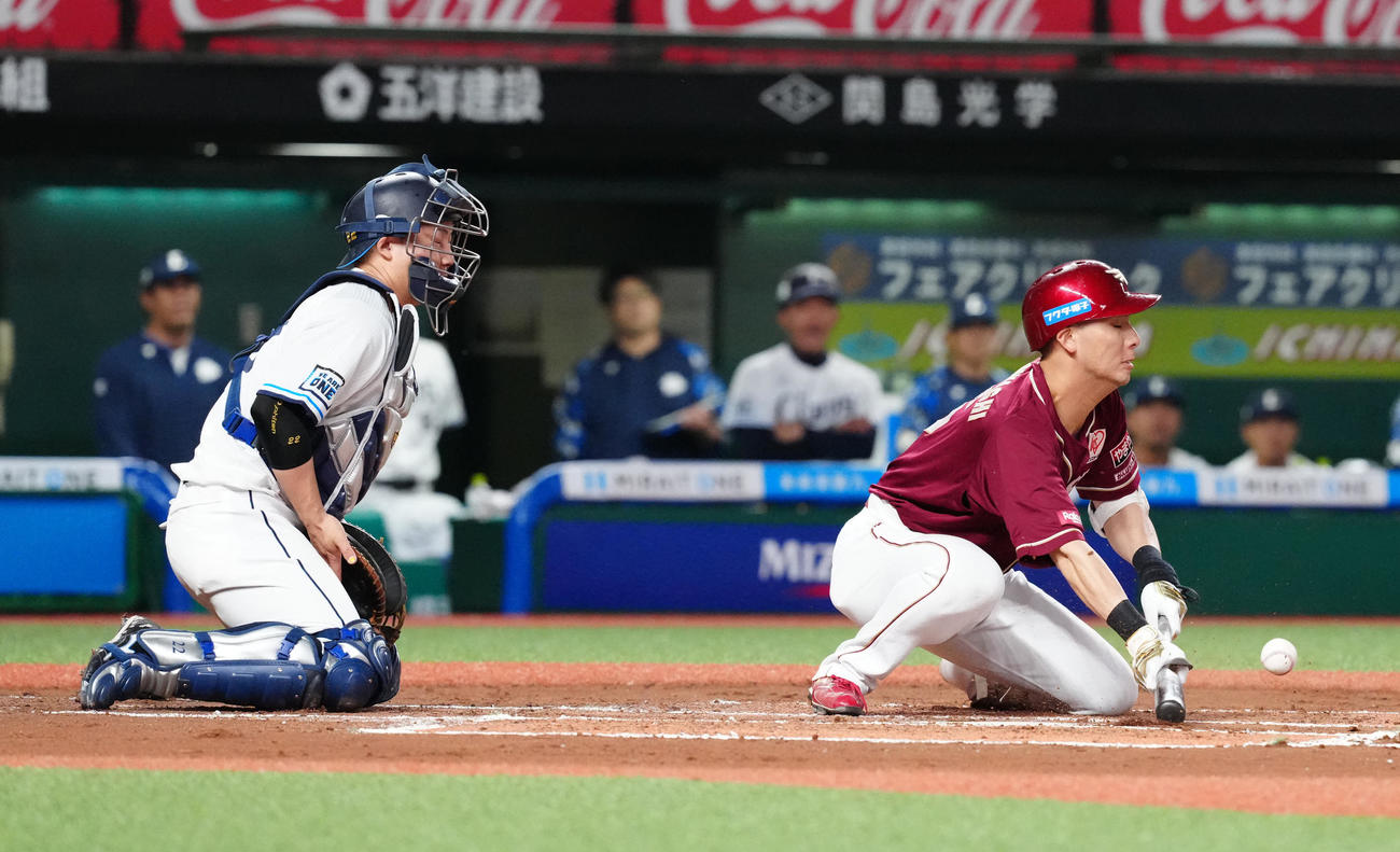 西武対楽天　6回表楽天1死二、三塁、スクイズを試みるもファウルとなる村林（撮影・江口和貴）