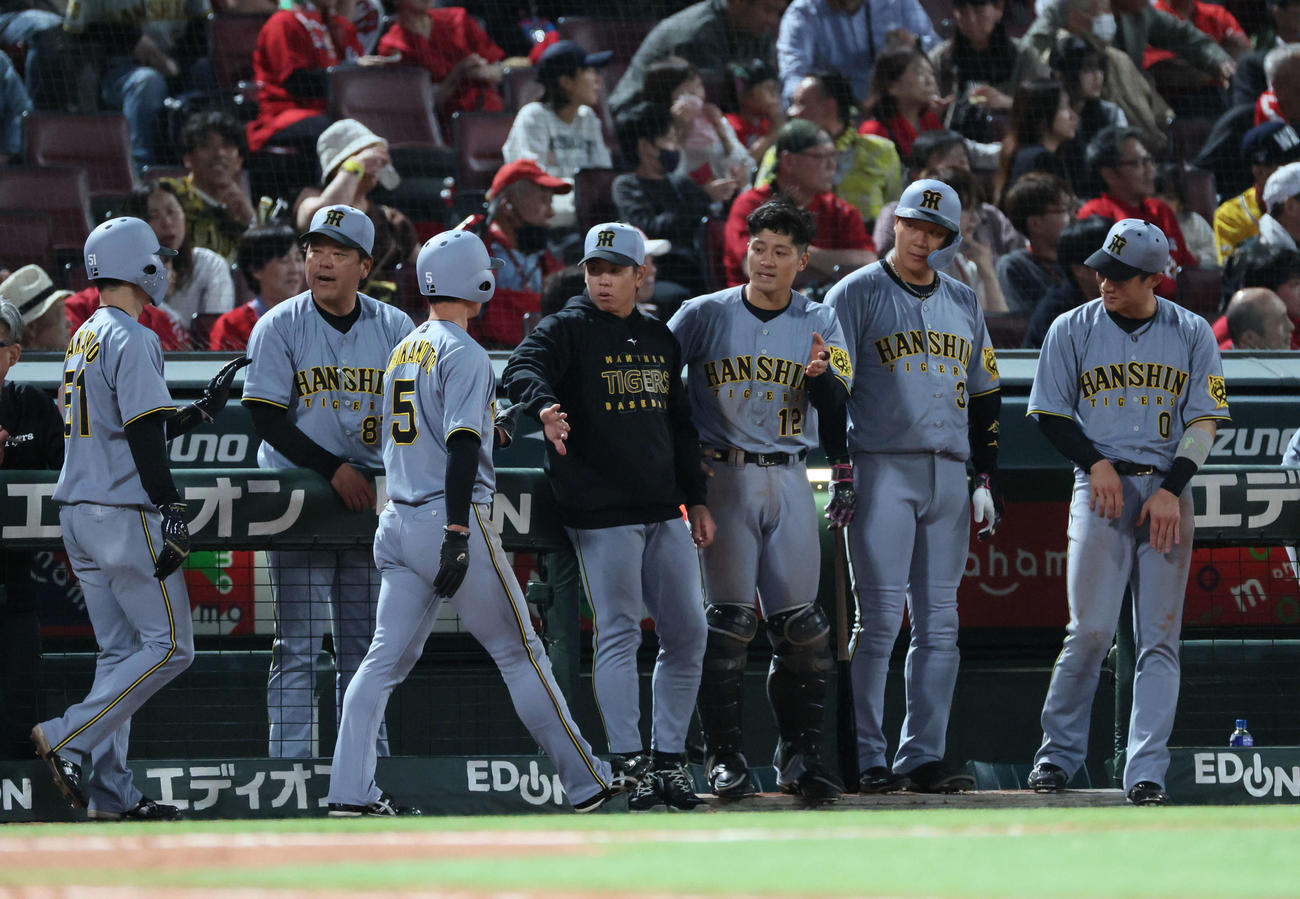 広島対阪神　5回表阪神2死一、三塁、森下の遊撃2点適時エラーで生還した近本らを迎えるチームメート（撮影・加藤孝規）