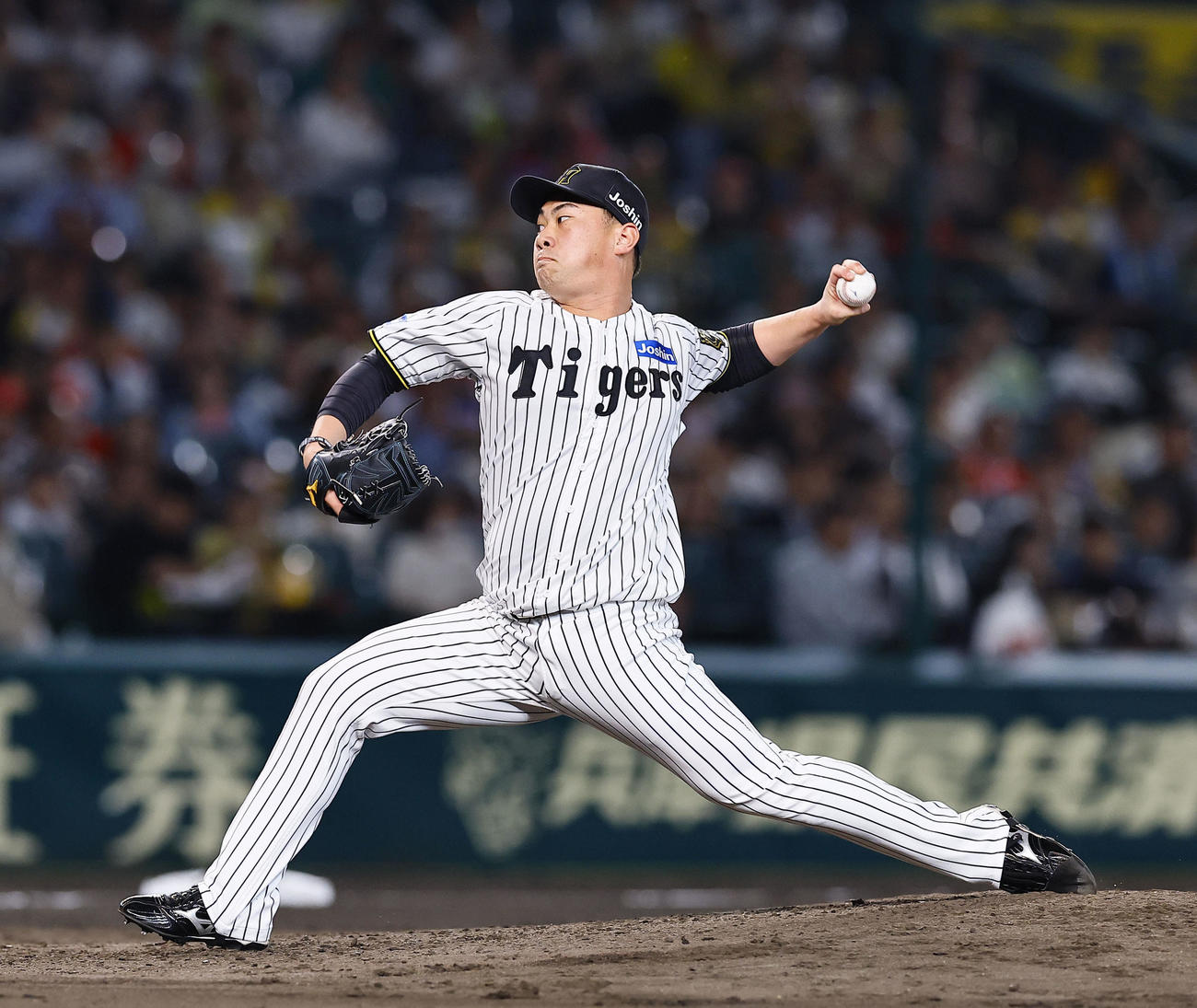 阪神桐敷拓馬（2025年5月16日撮影）