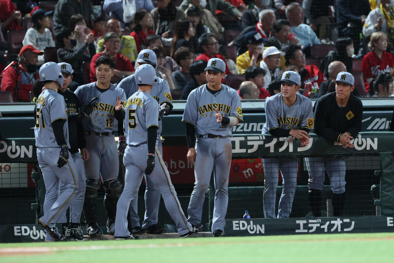 広島対阪神　5回表阪神2死一、三塁、森下の遊撃2点適時エラーで生還した近本らを迎えるチームメート（撮影・加藤孝規）