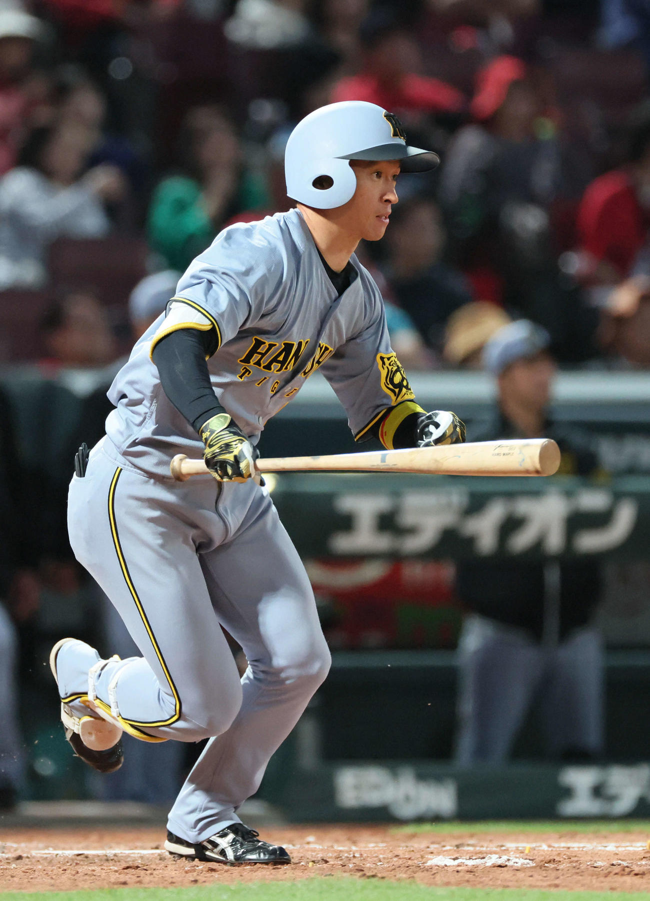広島対阪神　5回表阪神2死二塁、近本は同点適時打を放つ（撮影・加藤孝規）