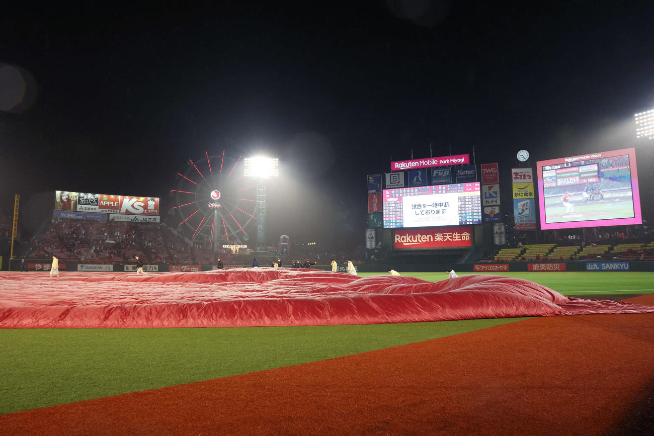楽天対ソフトバンク　雨天のためシートが引かれ試合が一時中断する楽天モバイルパーク（撮影・宮地輝）
