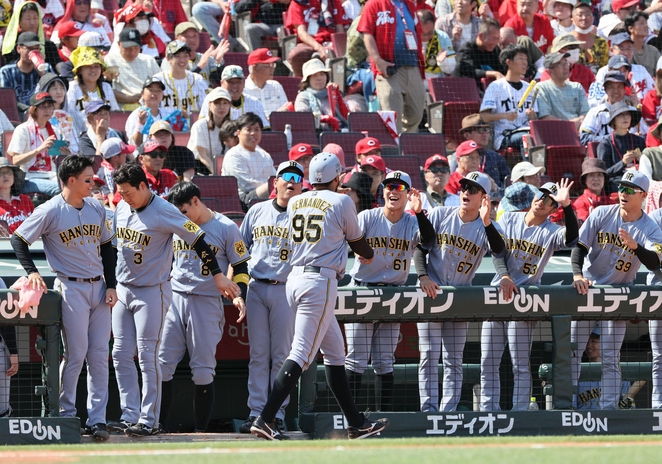 広島対阪神　5回表阪神2死一塁、木浪の先制中越え適時二塁打で生還したヘルナンデスはチームメートに迎えられる（撮影・加藤孝規）