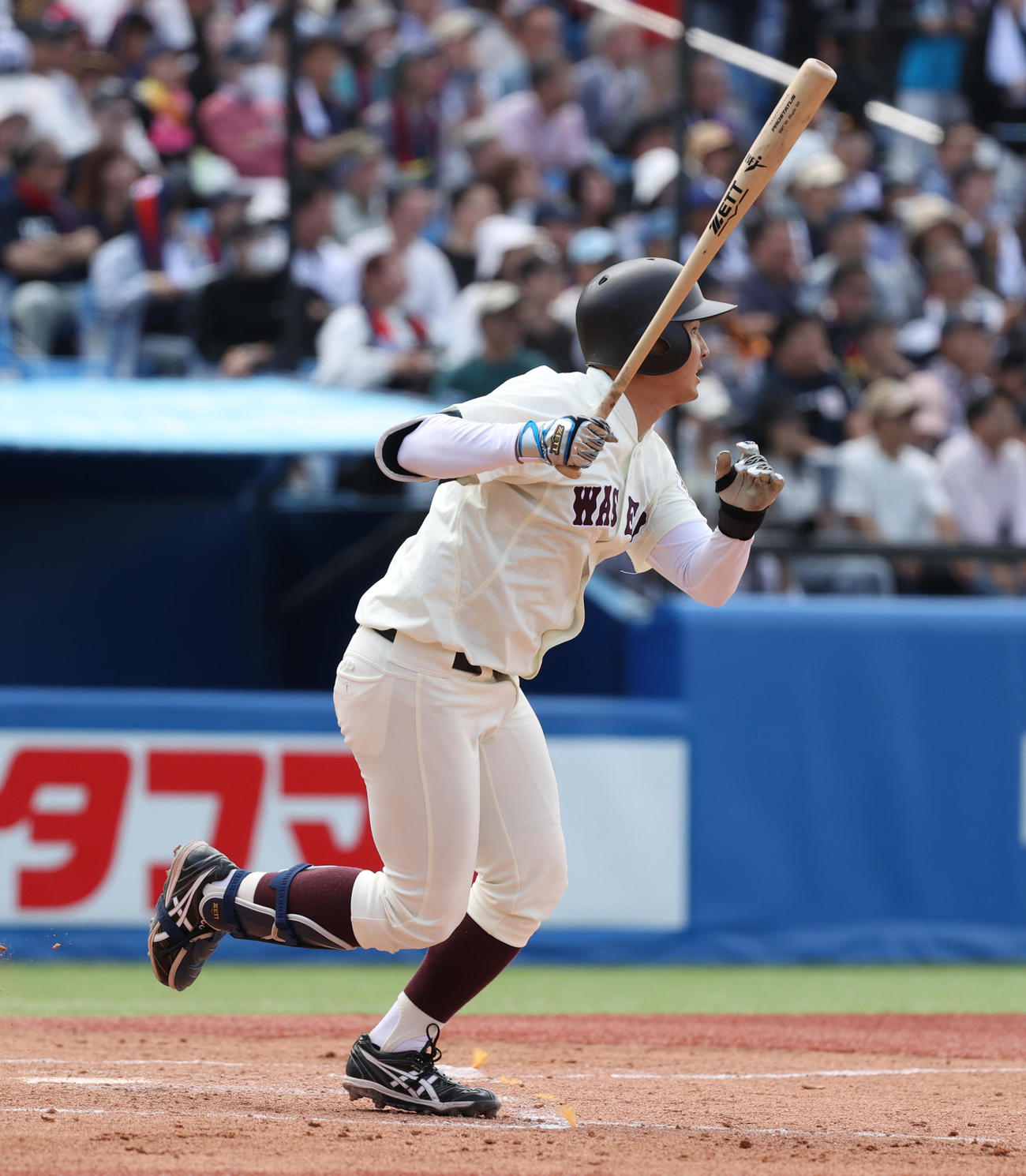 慶大対早大　3回裏早大2死満塁、前田健はバックスクリーンに満塁本塁打を放つ（撮影・柴田隆二）