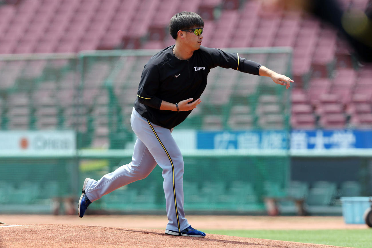 広島対阪神　1軍に合流した阪神桐敷（撮影・前田充）