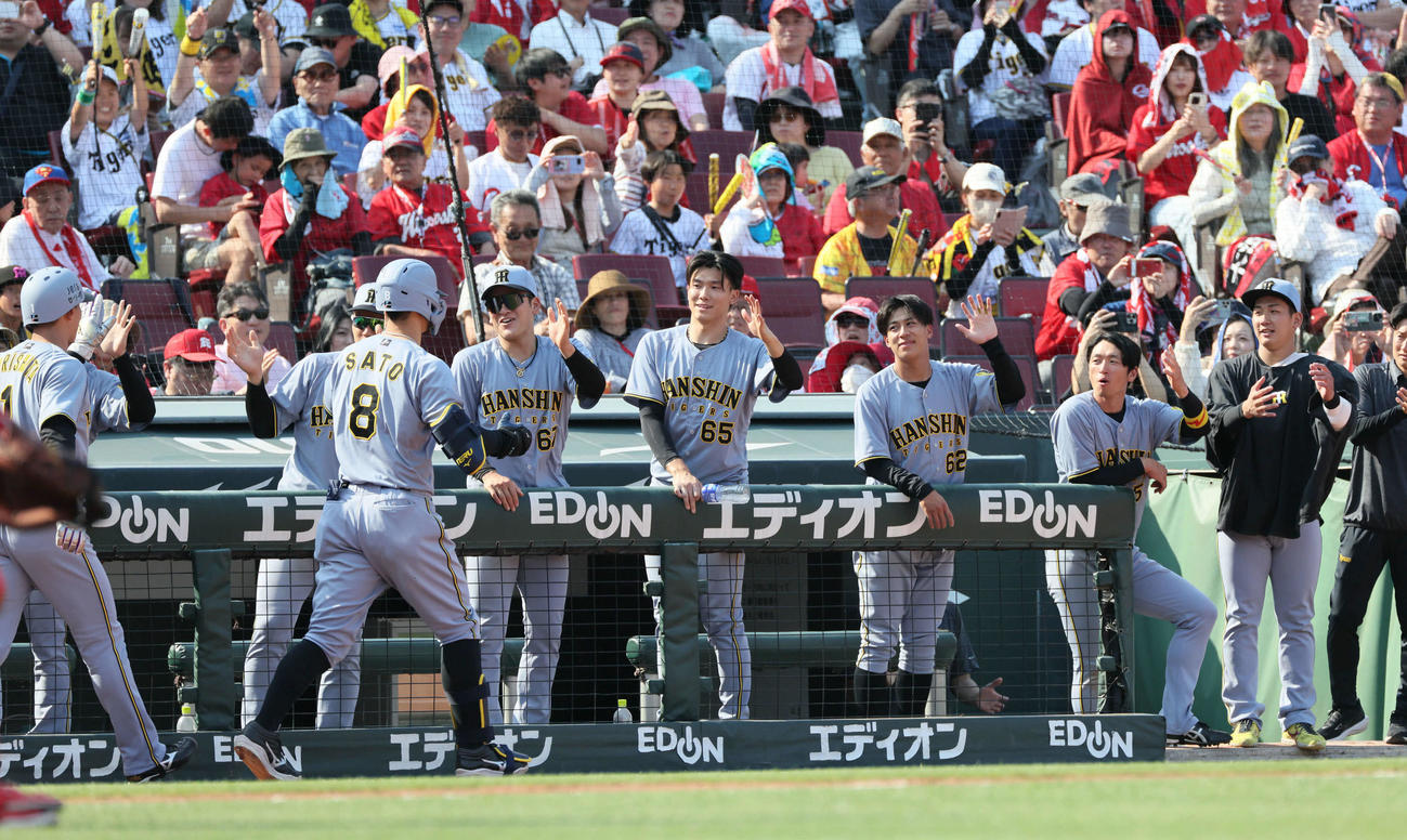 広島対阪神　8回表阪神2死一、二塁、右越え3点本塁打を放った佐藤輝を迎えるチームメート（撮影・加藤孝規）
