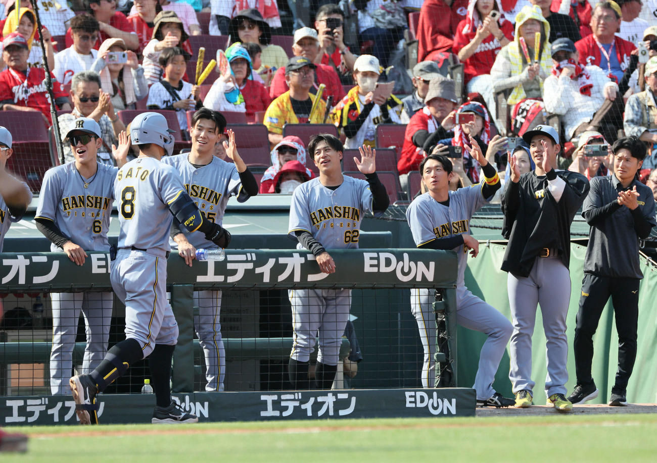 広島対阪神　8回表阪神2死一、二塁、右越え3点本塁打を放った佐藤輝を迎えるチームメート（撮影・加藤孝規）