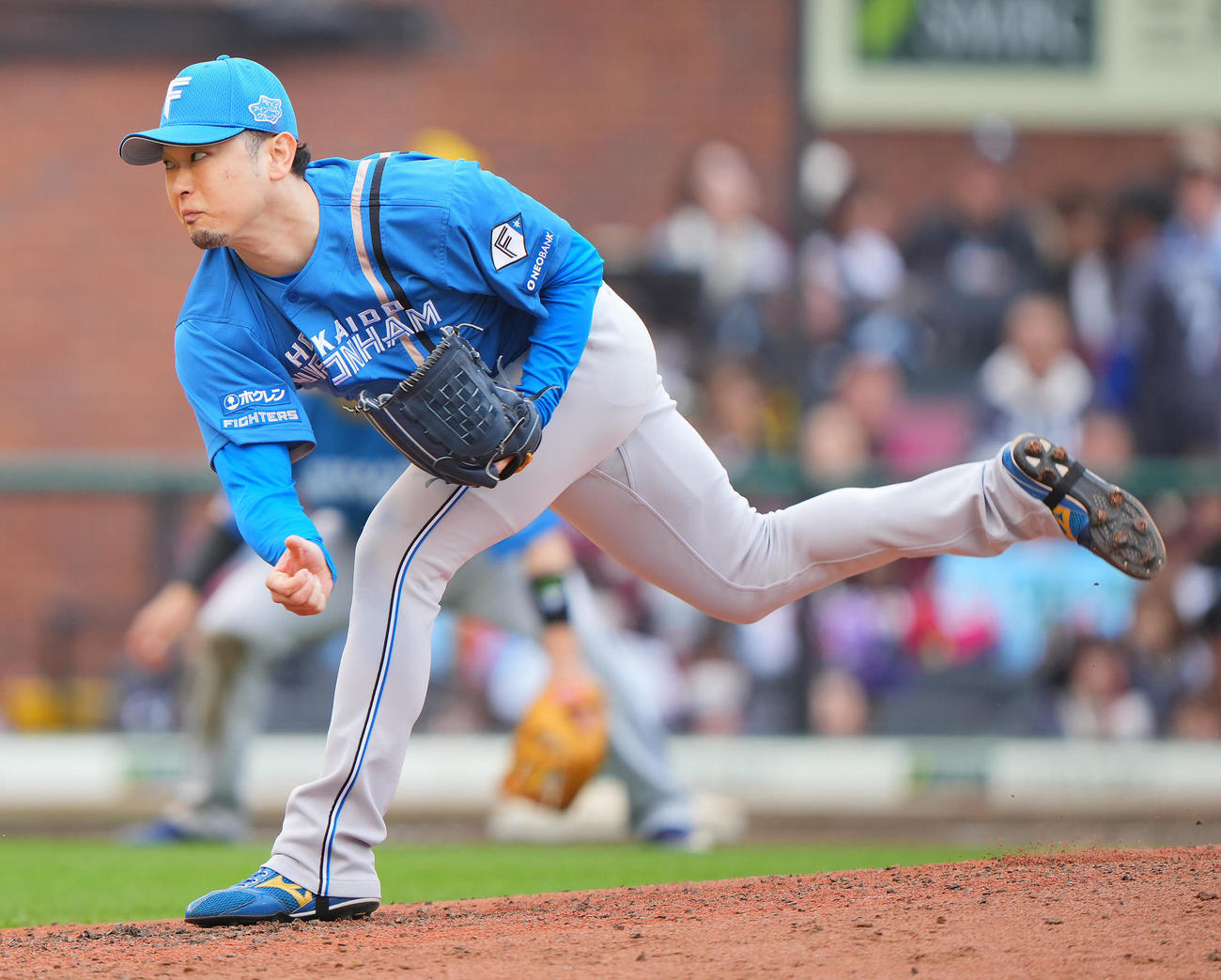 日本ハム　力投する池田隆英（撮影・垰建太）