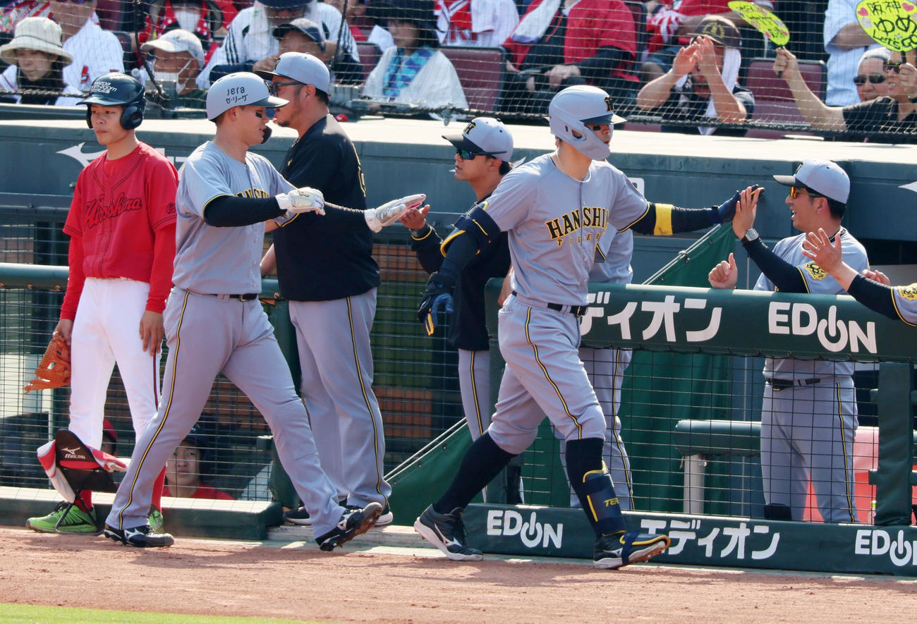 広島対阪神　8回表阪神2死一、二塁、右越え3点本塁打を放って生還ベンチの藤川監督（右）とタッチする佐藤輝。左は生還した一塁走者森下（撮影・加藤哉）
