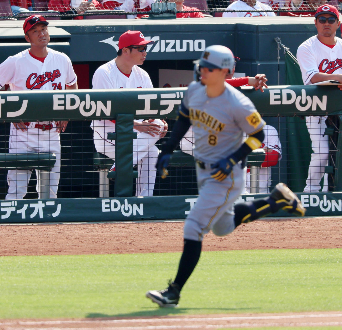 広島対阪神　8回表阪神2死一、二塁、ベンチの新井監督は佐藤輝の右越え3点本塁打の打球を目で追わず一点を凝視したまま（撮影・加藤哉）