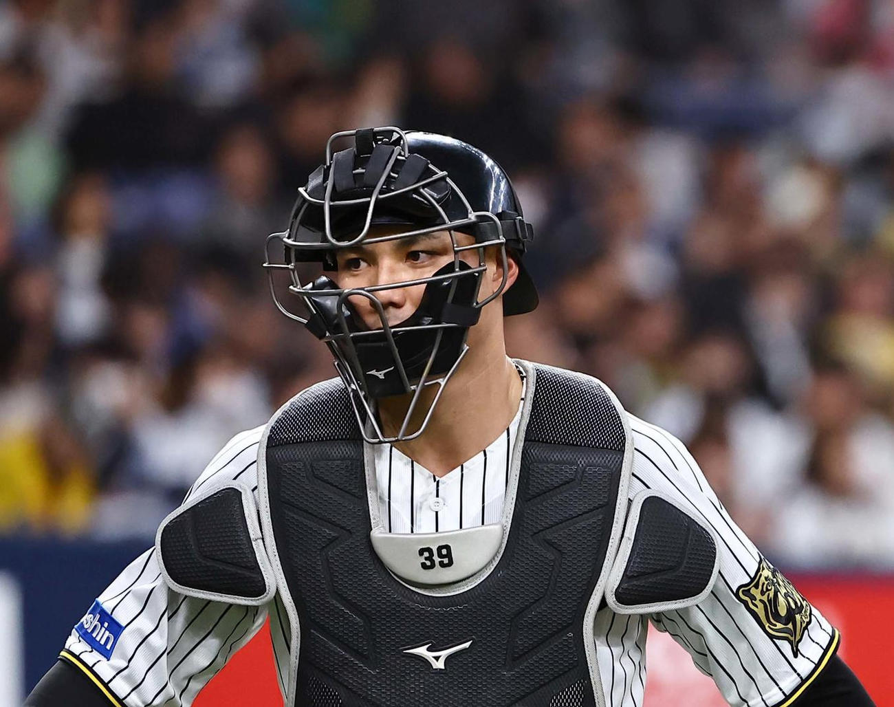 阪神栄枝裕貴（2025年4月3日撮影）