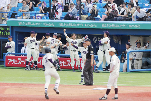 明大対早大 3回表明大2死二、三塁、小島の右越え3点本塁打を喜ぶ明大ベンチ(撮影・野上伸悟)
