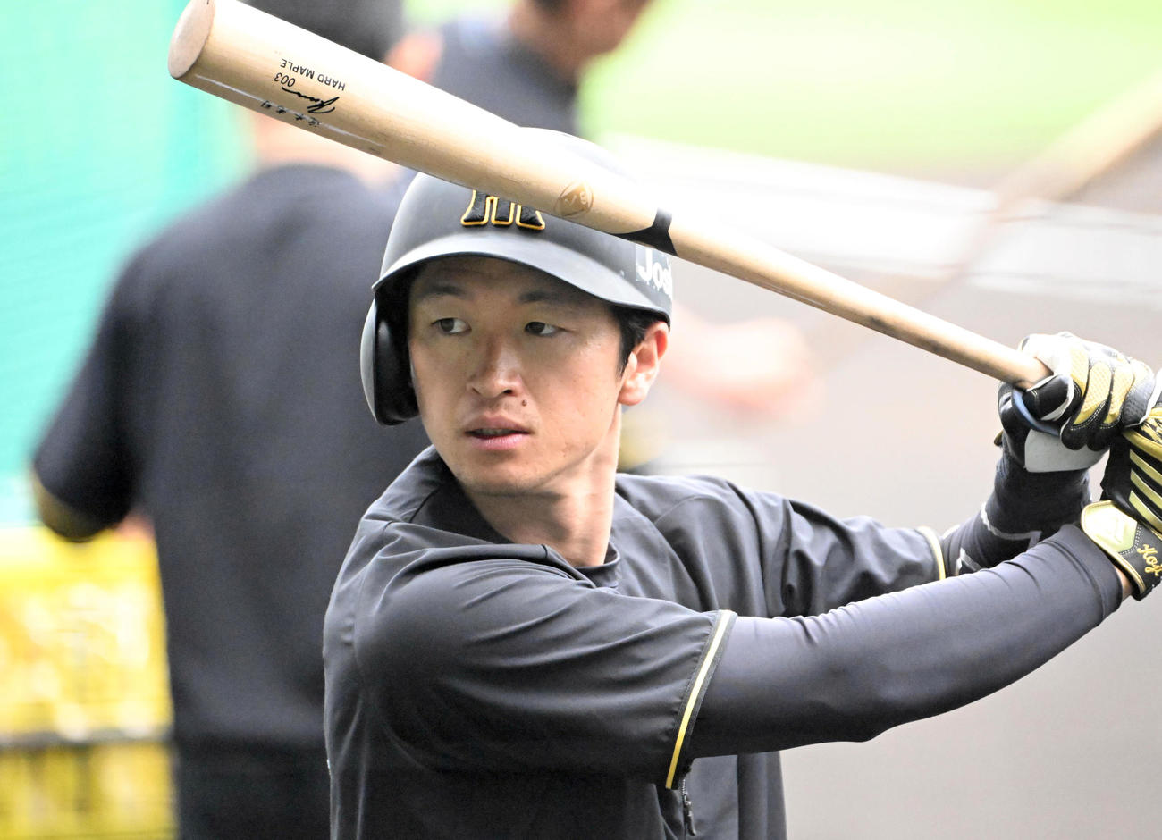 阪神近本光司（2025年5月29日撮影）