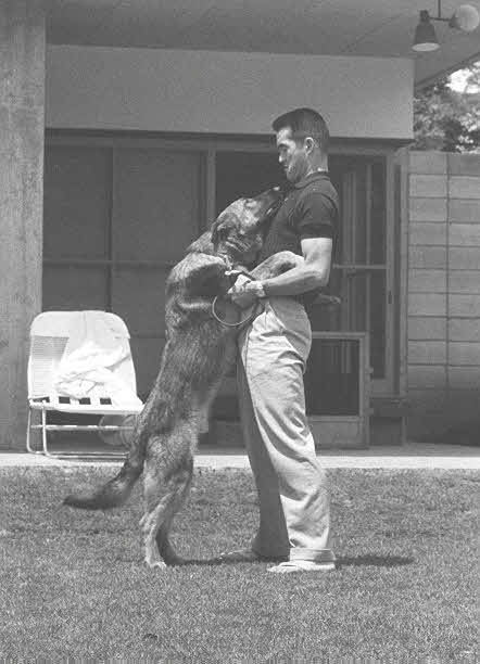 自宅の庭で犬と遊ぶ長嶋茂雄