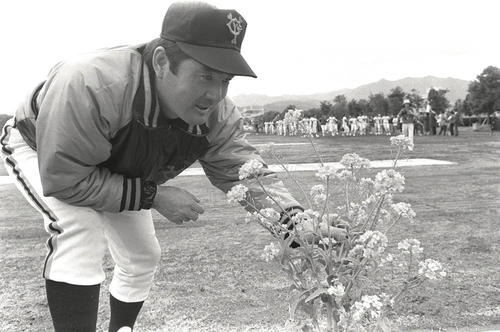 カメラマンの注文に菜の花を手にポーズをとる長嶋茂雄監督（80年2月19日）