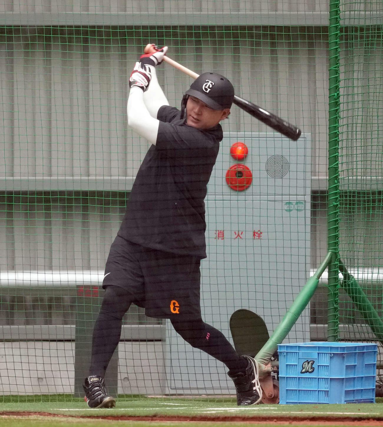 室内練習場で打撃練習をする巨人丸（撮影・たえ見朱実）