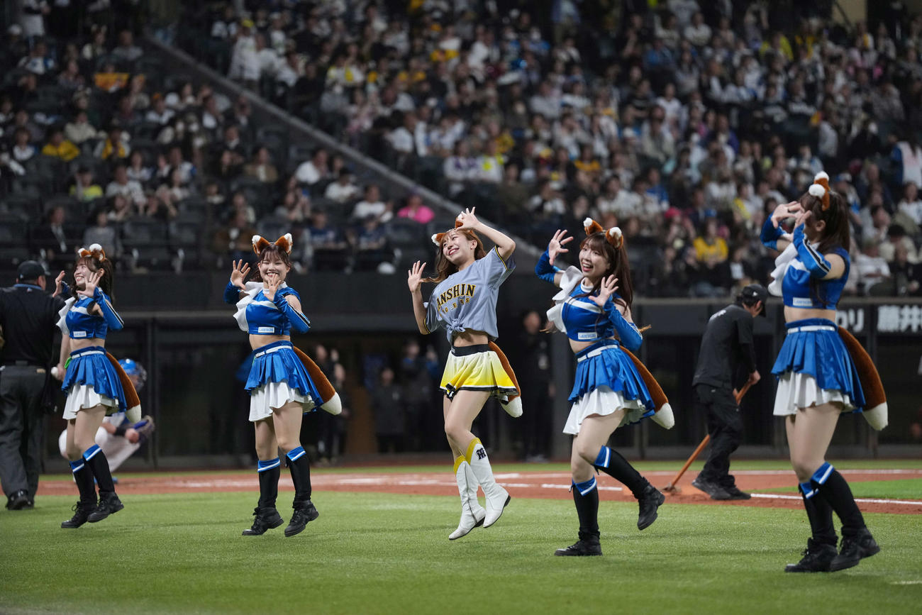 日本ハム対阪神　きつねダンスを躍るファイターズガールとタイガースガールズ（撮影・井上学）