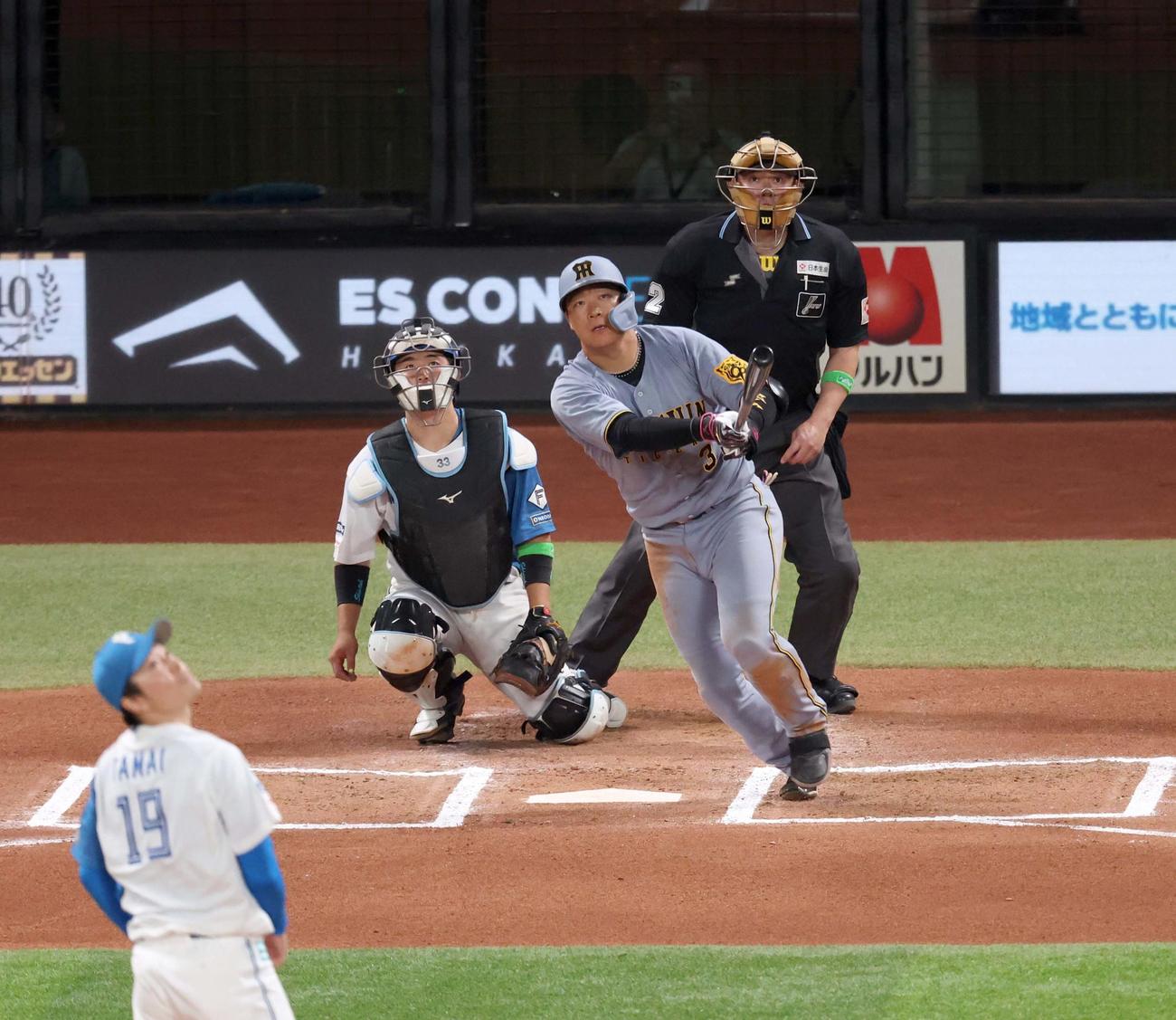日本ハム対阪神　6回表阪神無死、中越え本塁打を放つ大山（撮影・黒川智章）