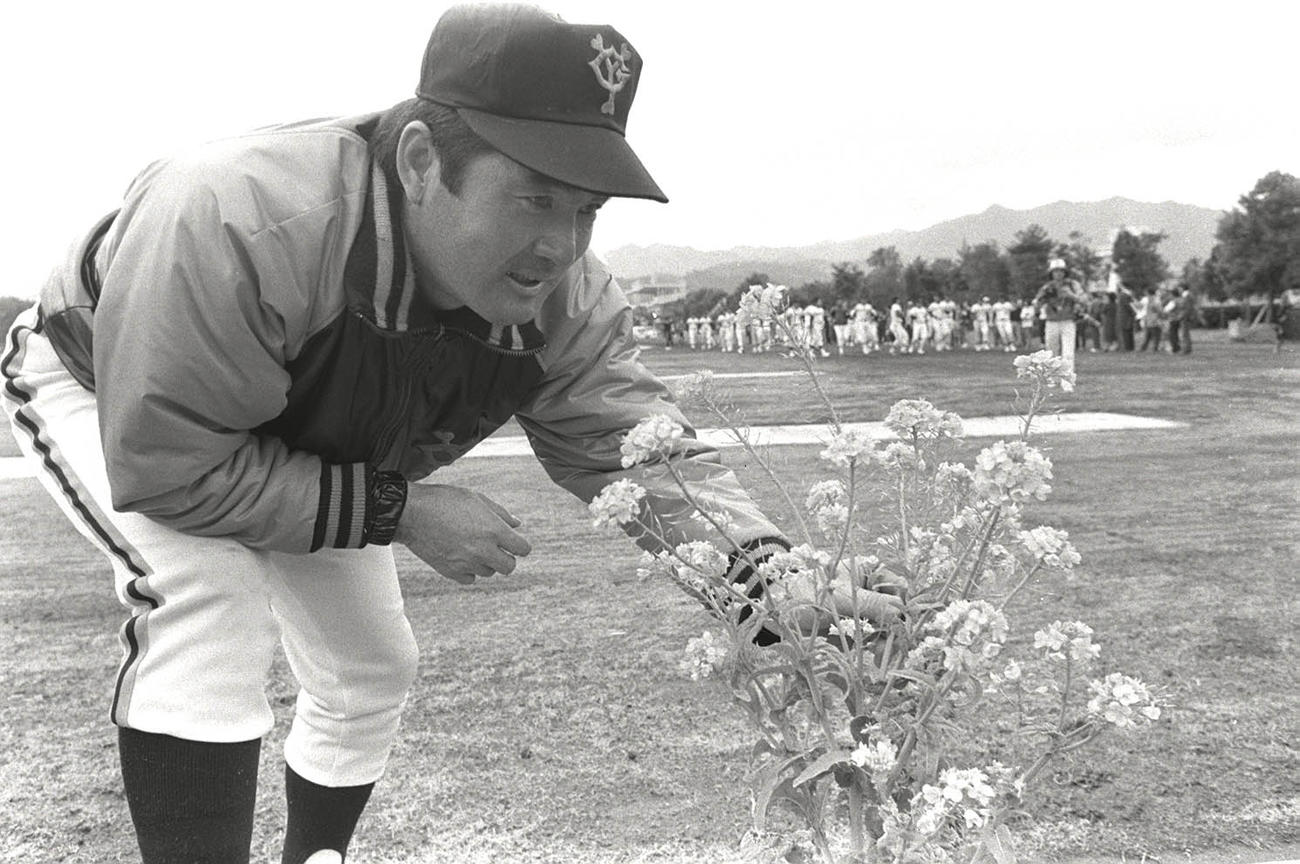 カメラマンの注文に菜の花を手にポーズをとる長嶋茂雄監督（80年2月19日）