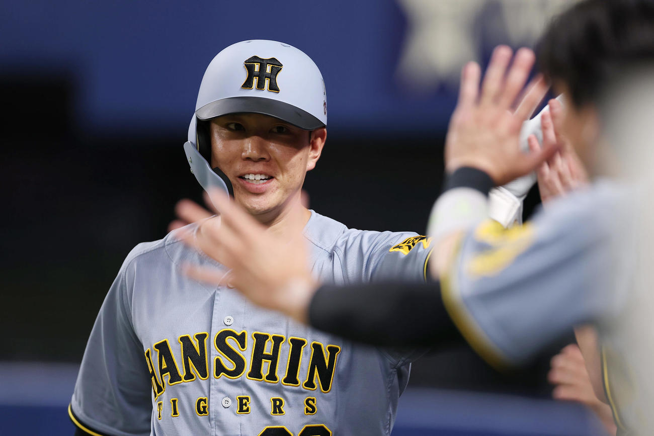 阪神糸原健斗（2025年5月23日撮影）