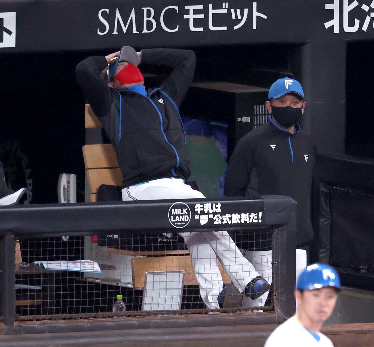 日本ハム対阪神　ベンチで天を仰ぐ新庄監督（撮影・黒川智章）