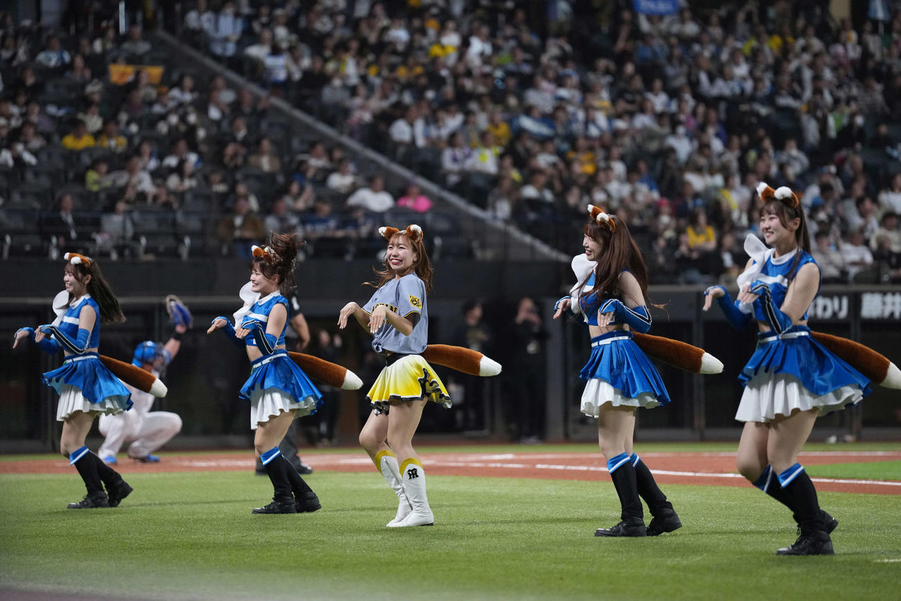 日本ハム対阪神　きつねダンスを躍るファイターズガールとタイガースガールズ（撮影・井上学）