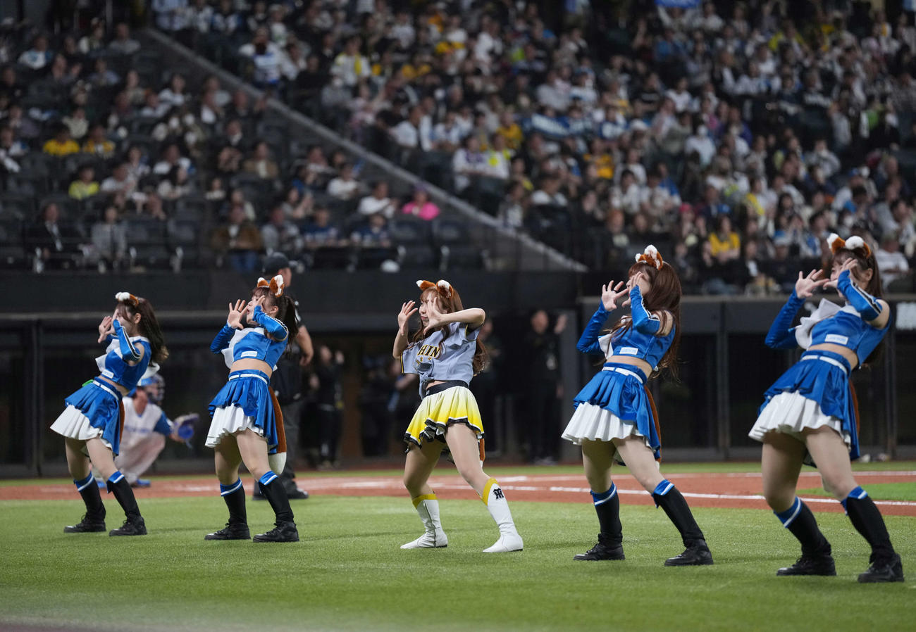 日本ハム対阪神　きつねダンスを躍るファイターズガールとタイガースガールズ（撮影・井上学）