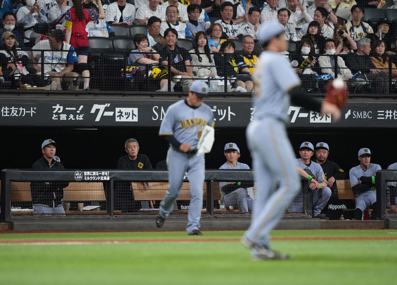 日本ハム対阪神　5回のピンチに浮かない表情の藤川監督（左端）。手前は才木（撮影・井上学）
