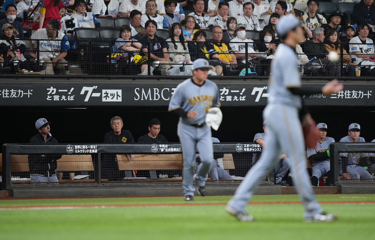 日本ハム対阪神　5回のピンチに浮かない表情の藤川監督（左端）。手前は才木（撮影・井上学）