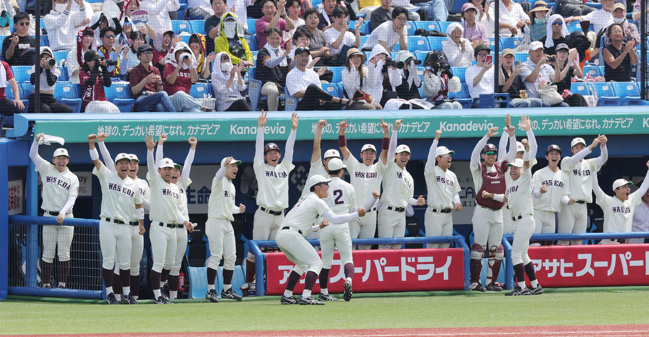 明大対早大　1回裏、ベンチで盛り上がる早大の選手たち（撮影・野上伸悟）