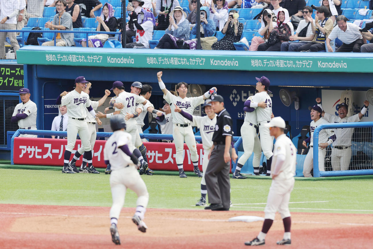 明大対早大　3回表明大2死二、三塁、小島の右越え3点本塁打を喜ぶ明大ベンチ（撮影・野上伸悟）