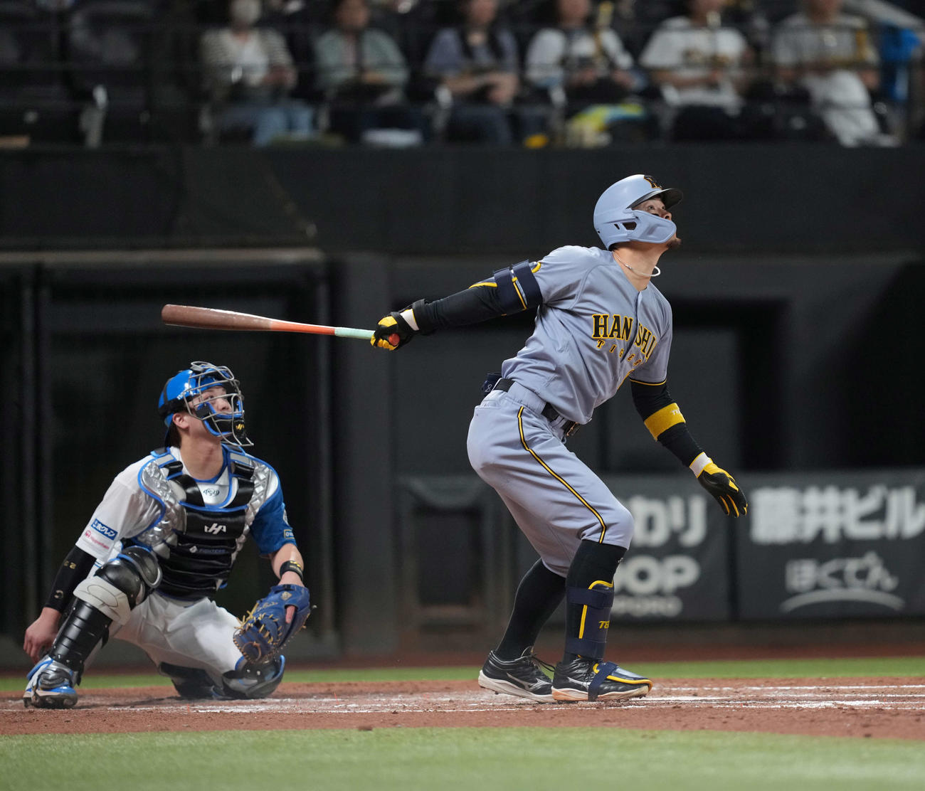 日本ハム対阪神　4回表阪神1死、右越え本塁打を放つ佐藤輝（撮影・井上学）